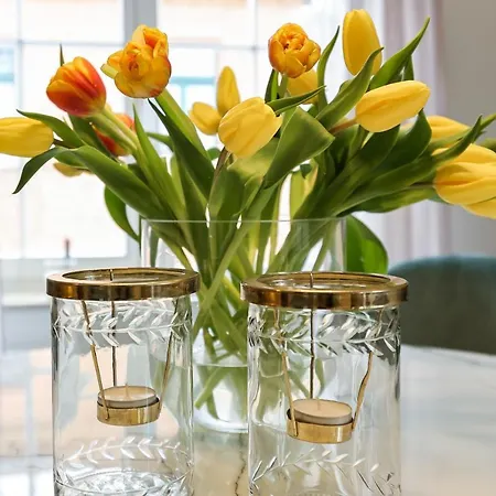 Apartment Bohnapartments Steigerwald - In Der Stadt - Vollausstattung - Wlan - Gratis Parkplaetze