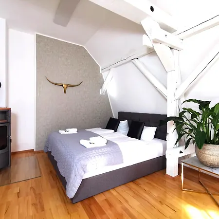 Apartment Bohnapartments Steigerwald - In Der Stadt - Vollausstattung - Wlan - Gratis Parkplaetze Erfurt