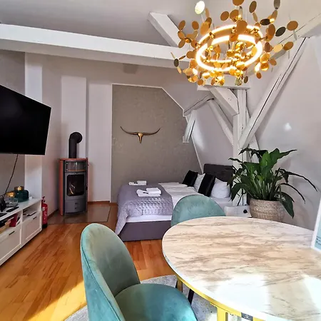 Bohnapartments Steigerwald - In Der Stadt - Vollausstattung - Wlan - Parkplaetze Lejlighed *