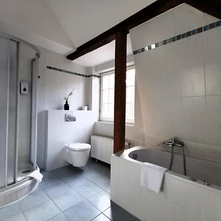 Bohnapartments Steigerwald - In Der Stadt - Vollausstattung - Wlan - Parkplaetze Apartamento Érfurt