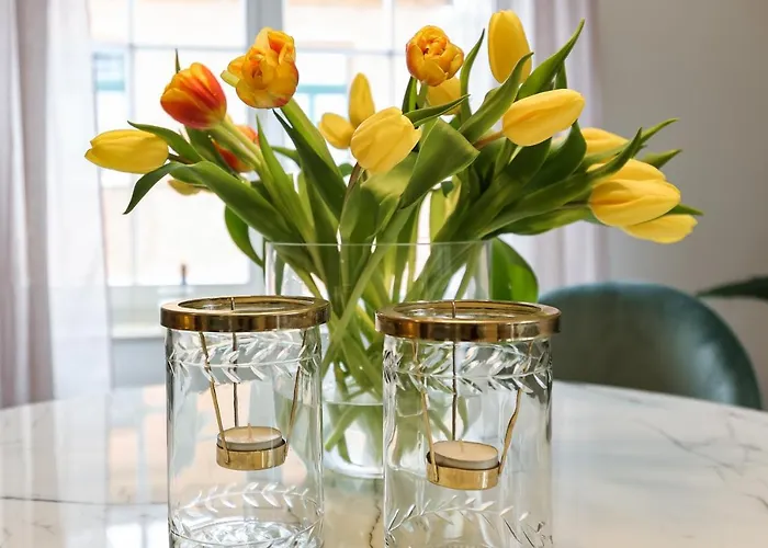 Appartement Bohnapartments Steigerwald - In Der Stadt - Vollausstattung - Wlan - Parkplaetze