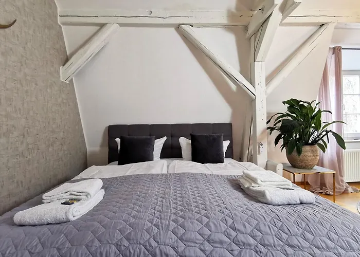 Bohnapartments Steigerwald - In Der Stadt - Vollausstattung - Wlan - Parkplaetze Appartement Erfurt