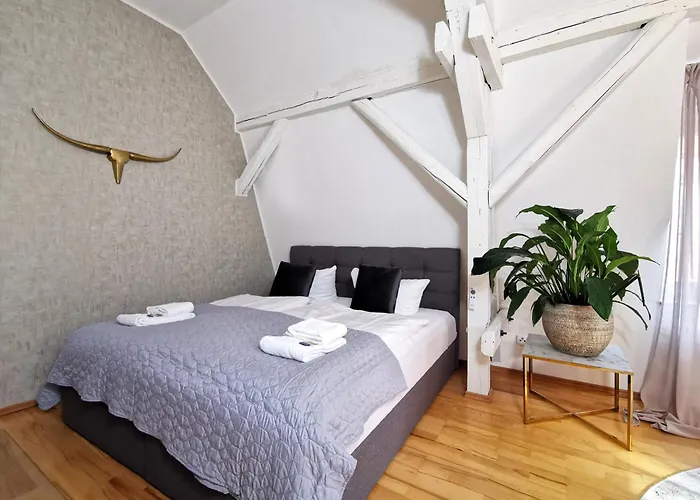 Bohnapartments Steigerwald - In Der Stadt - Vollausstattung - Wlan - Parkplaetze Erfurt